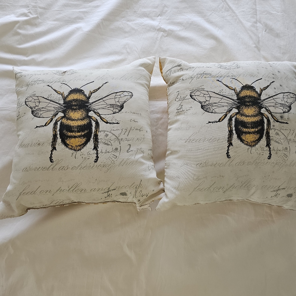 Toss Pillows